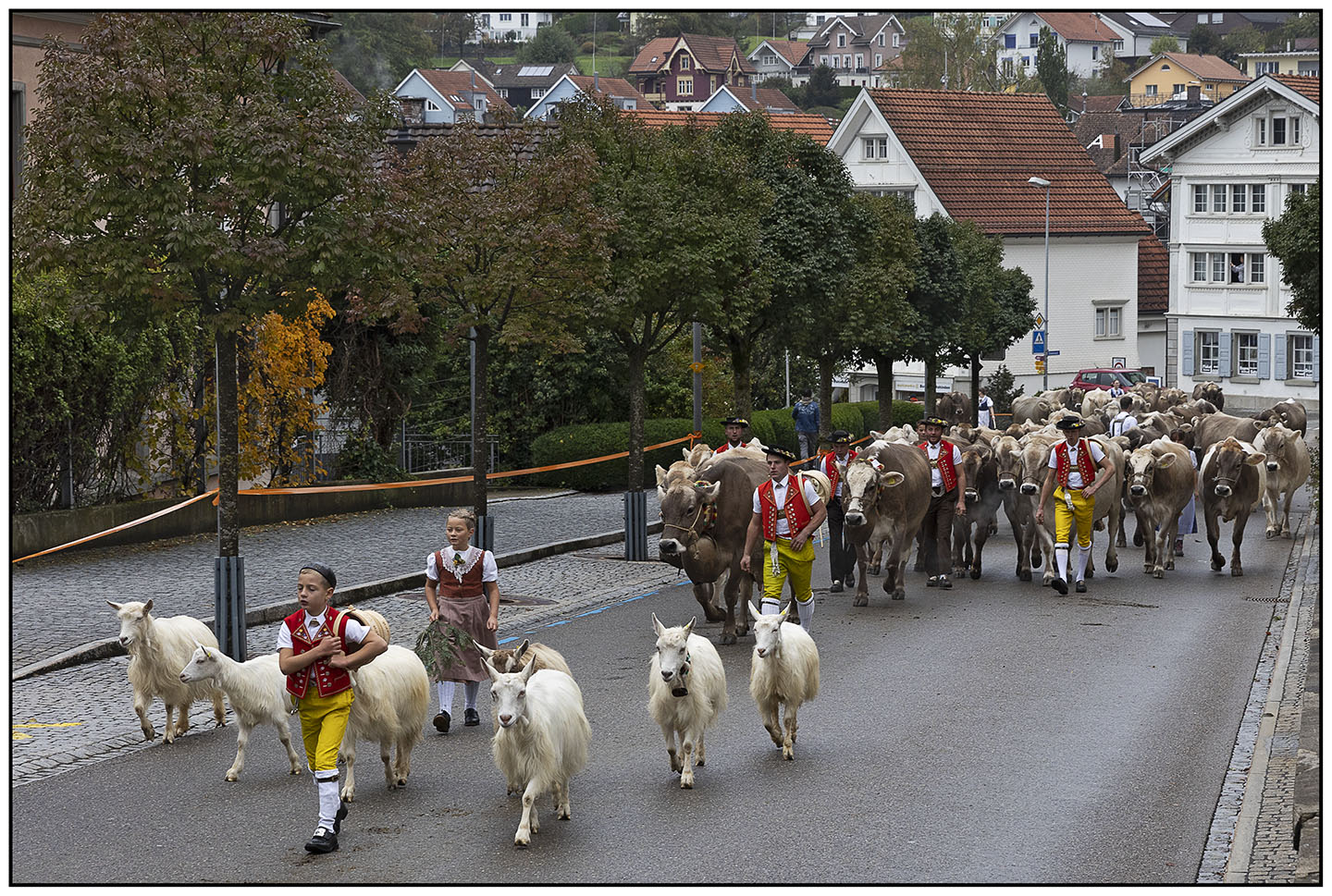 Viehschau Heiden